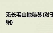 无长毛山地糙苏(对于无长毛山地糙苏简单介绍)