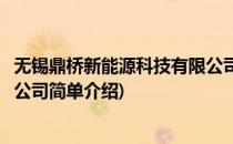 无锡鼎桥新能源科技有限公司(对于无锡鼎桥新能源科技有限公司简单介绍)