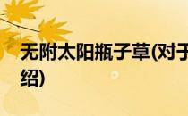 无附太阳瓶子草(对于无附太阳瓶子草简单介绍)