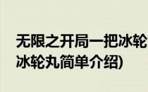 无限之开局一把冰轮丸(对于无限之开局一把冰轮丸简单介绍)
