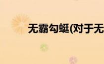 无霸勾蜓(对于无霸勾蜓简单介绍)