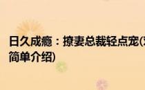日久成瘾：撩妻总裁轻点宠(对于日久成瘾：撩妻总裁轻点宠简单介绍)