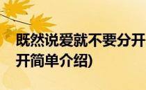 既然说爱就不要分开(对于既然说爱就不要分开简单介绍)