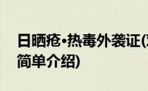 日晒疮·热毒外袭证(对于日晒疮·热毒外袭证简单介绍)