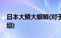 日本大鳞大眼鲷(对于日本大鳞大眼鲷简单介绍)