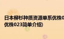 日本柳杉种质资源单系优株023(对于日本柳杉种质资源单系优株023简单介绍)