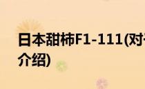 日本甜柿F1-111(对于日本甜柿F1-111简单介绍)