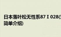 日本落叶松无性系87Ⅰ028(对于日本落叶松无性系87Ⅰ028简单介绍)