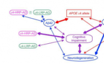 研究遗传变异的组合以揭示阿尔茨海默氏病的生物标志物