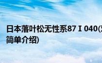 日本落叶松无性系87Ⅰ040(对于日本落叶松无性系87Ⅰ040简单介绍)