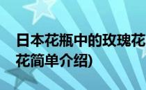 日本花瓶中的玫瑰花(对于日本花瓶中的玫瑰花简单介绍)