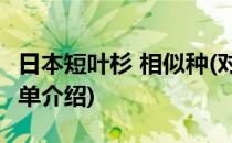 日本短叶杉 相似种(对于日本短叶杉 相似种简单介绍)