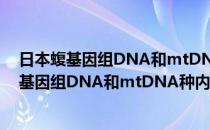 日本蝮基因组DNA和mtDNA种内变异的研究(对于日本蝮基因组DNA和mtDNA种内变异的研究简单介绍)