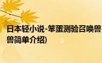 日本轻小说-笨蛋测验召唤兽(对于日本轻小说-笨蛋测验召唤兽简单介绍)