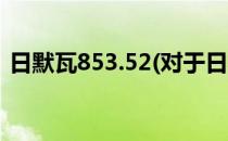 日默瓦853.52(对于日默瓦853.52简单介绍)