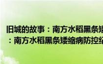 旧城的故事：南方水稻黑条矮缩病防控纪实(对于旧城的故事：南方水稻黑条矮缩病防控纪实简单介绍)