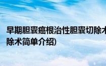 早期胆囊癌根治性胆囊切除术(对于早期胆囊癌根治性胆囊切除术简单介绍)