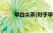 早白尖茶(对于早白尖茶简单介绍)