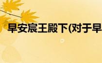 早安宸王殿下(对于早安宸王殿下简单介绍)