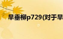 旱垂柳p729(对于旱垂柳p729简单介绍)