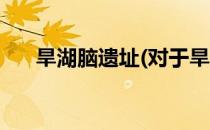 旱湖脑遗址(对于旱湖脑遗址简单介绍)