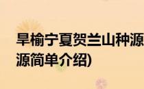 旱榆宁夏贺兰山种源(对于旱榆宁夏贺兰山种源简单介绍)