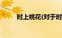 时上桃花(对于时上桃花简单介绍)