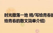 时光撒落一地 精/写给青春的散文(对于时光撒落一地 精/写给青春的散文简单介绍)