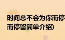 时间总不会为你而停留(对于时间总不会为你而停留简单介绍)