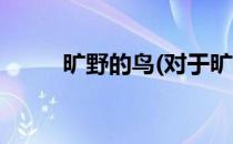 旷野的鸟(对于旷野的鸟简单介绍)