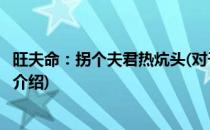 旺夫命：拐个夫君热炕头(对于旺夫命：拐个夫君热炕头简单介绍)