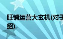 旺铺运营大玄机(对于旺铺运营大玄机简单介绍)