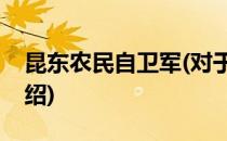 昆东农民自卫军(对于昆东农民自卫军简单介绍)
