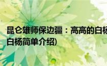 昆仑雄师保边疆：高高的白杨(对于昆仑雄师保边疆：高高的白杨简单介绍)