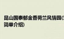 昆山国泰郁金香荷兰风情园(对于昆山国泰郁金香荷兰风情园简单介绍)