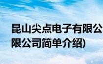 昆山尖点电子有限公司(对于昆山尖点电子有限公司简单介绍)