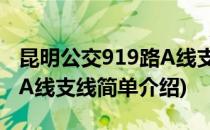 昆明公交919路A线支线(对于昆明公交919路A线支线简单介绍)