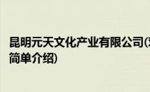 昆明元天文化产业有限公司(对于昆明元天文化产业有限公司简单介绍)
