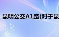 昆明公交A1路(对于昆明公交A1路简单介绍)