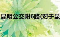 昆明公交附6路(对于昆明公交附6路简单介绍)
