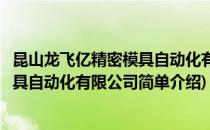 昆山龙飞亿精密模具自动化有限公司(对于昆山龙飞亿精密模具自动化有限公司简单介绍)
