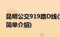 昆明公交919路D线(对于昆明公交919路D线简单介绍)