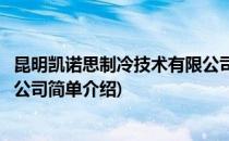 昆明凯诺思制冷技术有限公司(对于昆明凯诺思制冷技术有限公司简单介绍)
