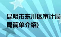 昆明市东川区审计局(对于昆明市东川区审计局简单介绍)