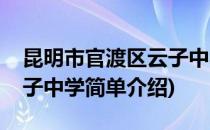 昆明市官渡区云子中学(对于昆明市官渡区云子中学简单介绍)