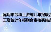 昆明市劳动工资统计年报联合审核实施办法(对于昆明市劳动工资统计年报联合审核实施办法简单介绍)