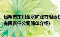 昆明市东川金水矿业有限责任公司(对于昆明市东川金水矿业有限责任公司简单介绍)