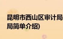 昆明市西山区审计局(对于昆明市西山区审计局简单介绍)