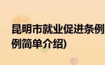 昆明市就业促进条例(对于昆明市就业促进条例简单介绍)