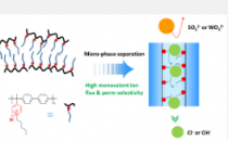 用于高效单价二价阴离子分离的新型单价阴离子选择性渗透膜
